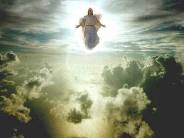 rapture-1