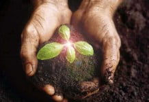 Bertumbuh dan memperbaharui diri secara spiritual