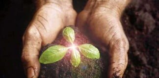 Bertumbuh dan memperbaharui diri secara spiritual