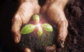 Bertumbuh dan memperbaharui diri secara spiritual