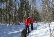 Perbedaan antara tumbuhan, binatang dan manusia