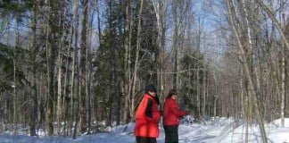 Perbedaan antara tumbuhan, binatang dan manusia