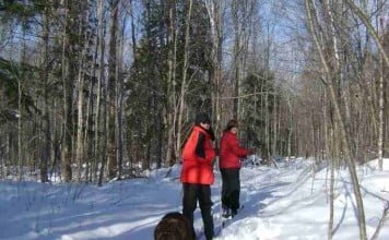 Perbedaan antara tumbuhan, binatang dan manusia