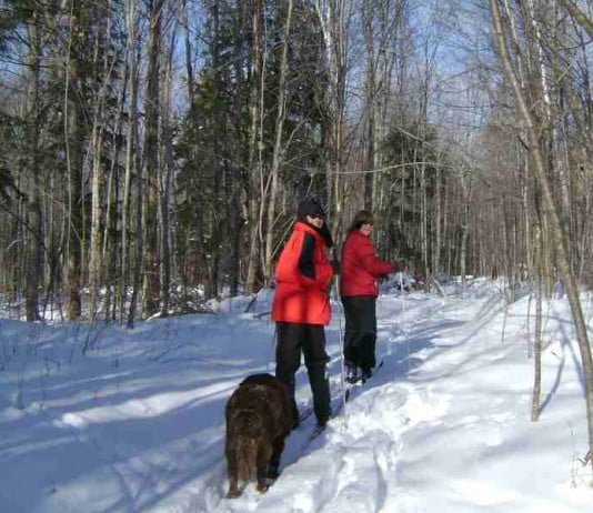Perbedaan antara tumbuhan, binatang dan manusia