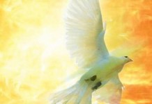 Melompat dalam iman bersama Roh Kudus