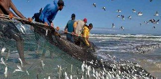 Kerajaan Sorga Seumpama Harta, Mutiara, dan Pukat