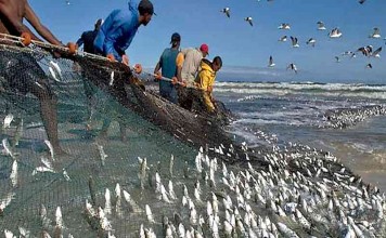 Kerajaan Sorga Seumpama Harta, Mutiara, dan Pukat