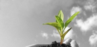 Berikanlah Apa yang Menjadi Haknya!