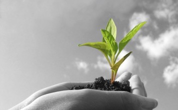 Berikanlah Apa yang Menjadi Haknya!