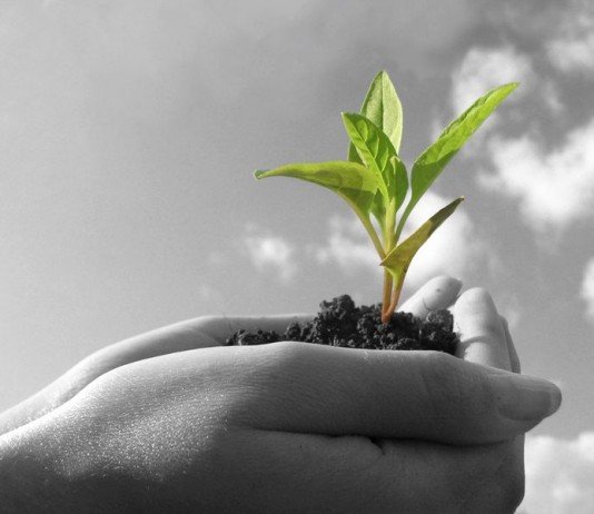 Berikanlah Apa yang Menjadi Haknya!