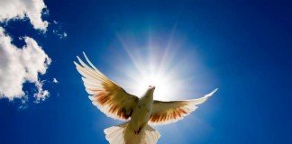 Perjumpaan Iman dan Akal Budi