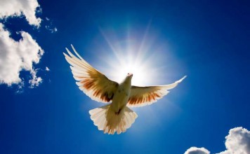 Perjumpaan Iman dan Akal Budi