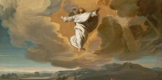 Hare gene Masih Ragu?