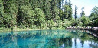 Doa Puitis Menjelang Rosario Bumi: Peristiwa Gembira Ketiga