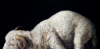 Lihatlah, Anak Domba Allah!