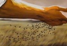 Hasilnya Tergantung dari Tanahnya