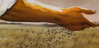 Hasilnya Tergantung dari Tanahnya