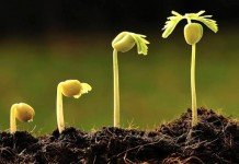 Tuhan, Ajarku Untuk Rendah Hati