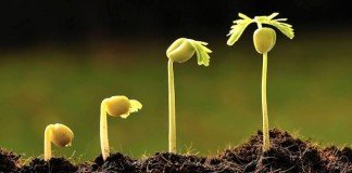 Tuhan, Ajarku Untuk Rendah Hati