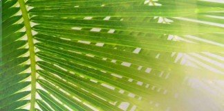 Tersanjung, Siap Tersungkur