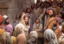 “Apakah kamu tidak mau pergi juga?”