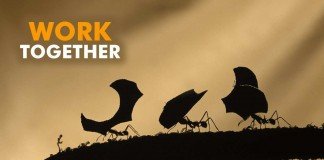 Menjadi rekan katolisitas.org