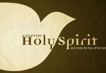 Roh Kudus yang membimbing, membarui, dan memberi buah
