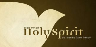 Roh Kudus yang membimbing, membarui, dan memberi buah