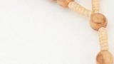 RKL15009b-